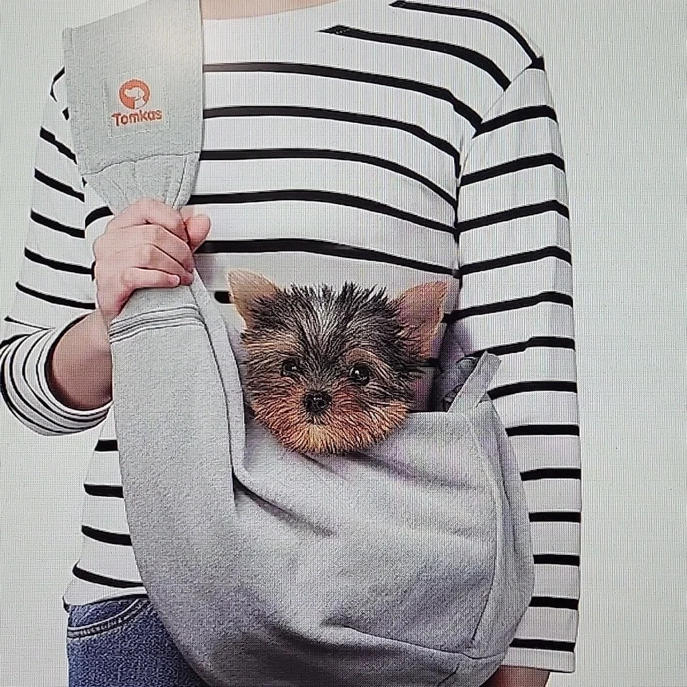 Gray Small Pet Carrier NIB Host Pick 🥳